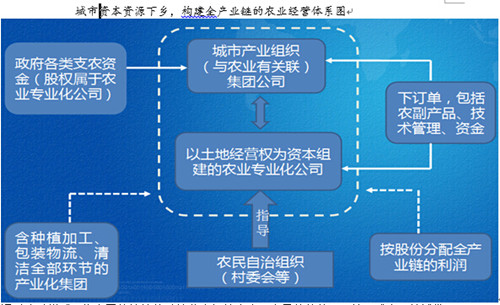中國經(jīng)濟(jì)體制改革基金會楊慶育：重慶統(tǒng)籌城鄉(xiāng)綜改案例及深化改革方向